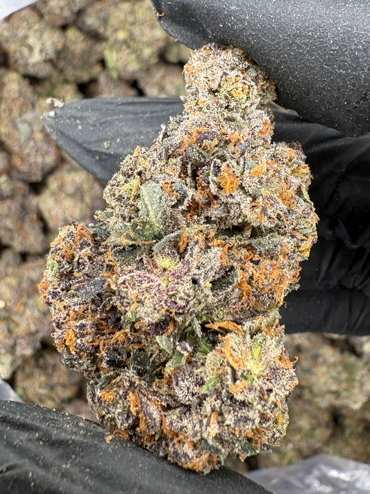 Crunch Berriez (Genetics by Fiya Farmer)