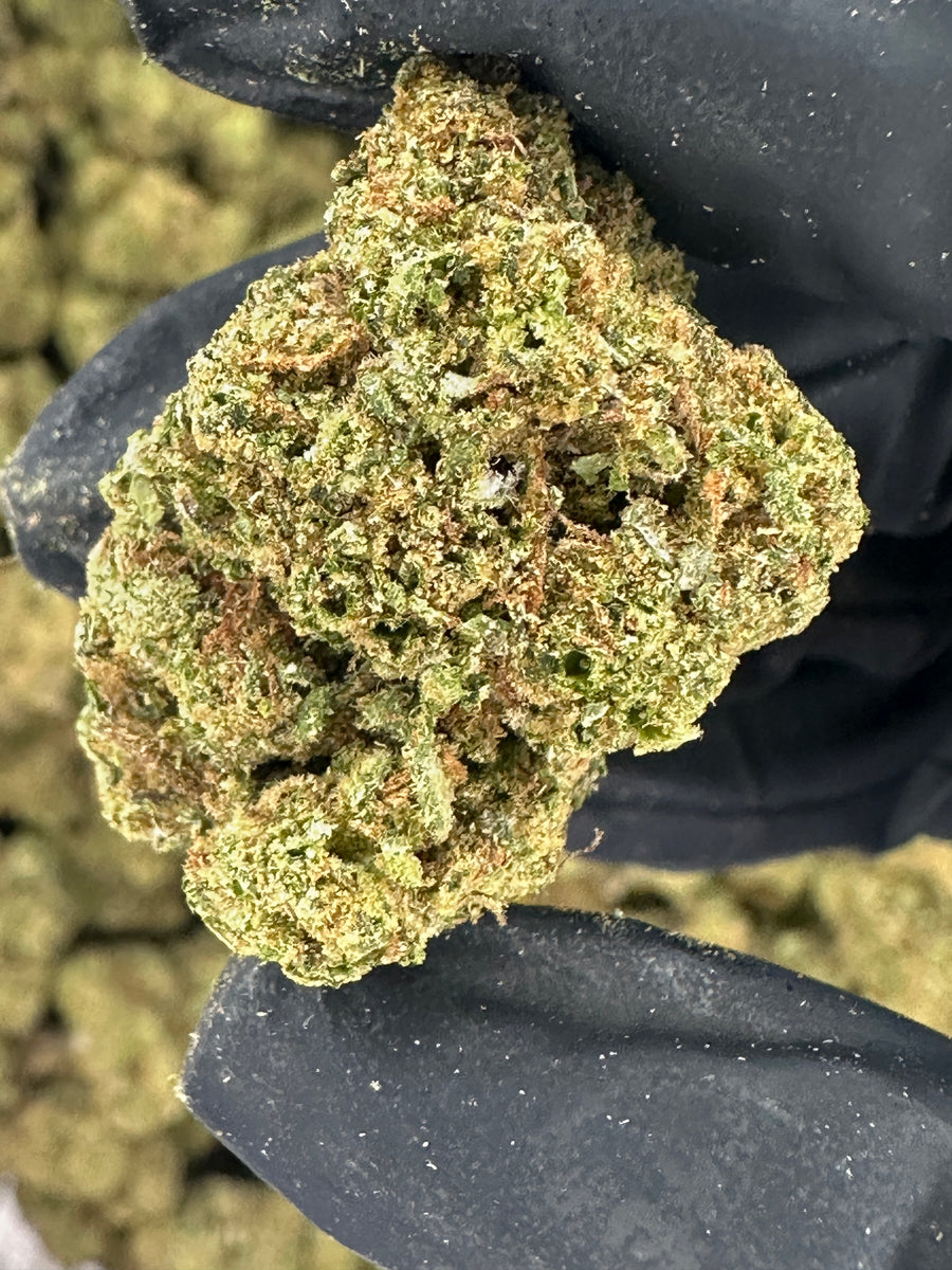 Gelato 33