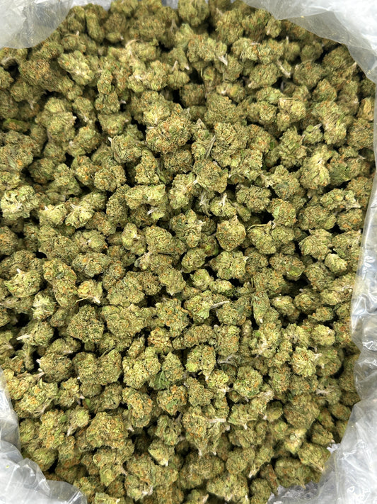Gelato 41 Smalls