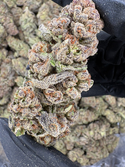 GlitterBomb
