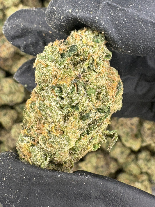LCG (Genetics by Canatique)