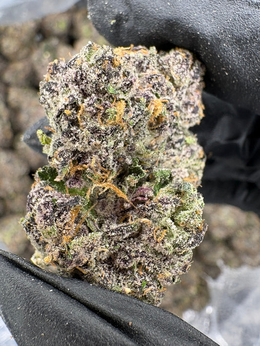 MOB (Genetics by Craft Farmer)