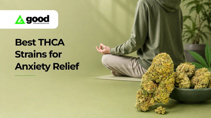 Looking for a Calmer THCA Experience? 7 Strains to Consider in 2026