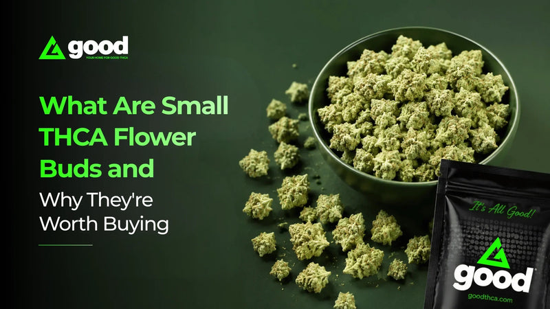 What Are Small THCA Flower Buds And Why They're Worth Buying