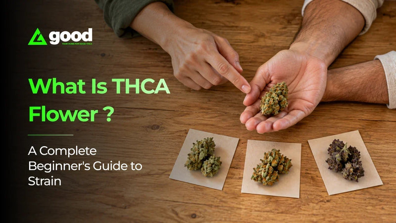 What Is THCA Flower? A Complete Beginner's Guide to Strains