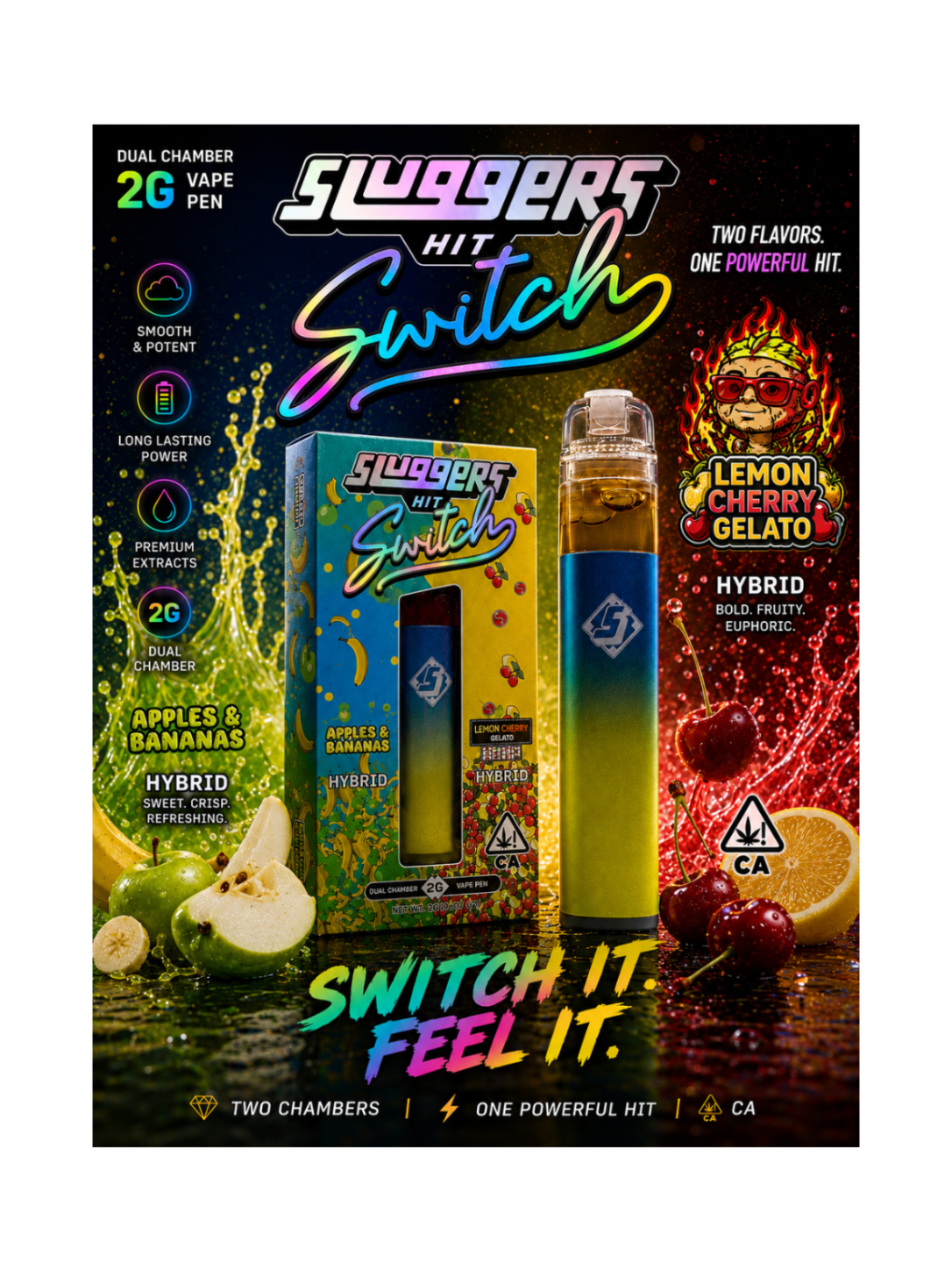 Sluggers Switch