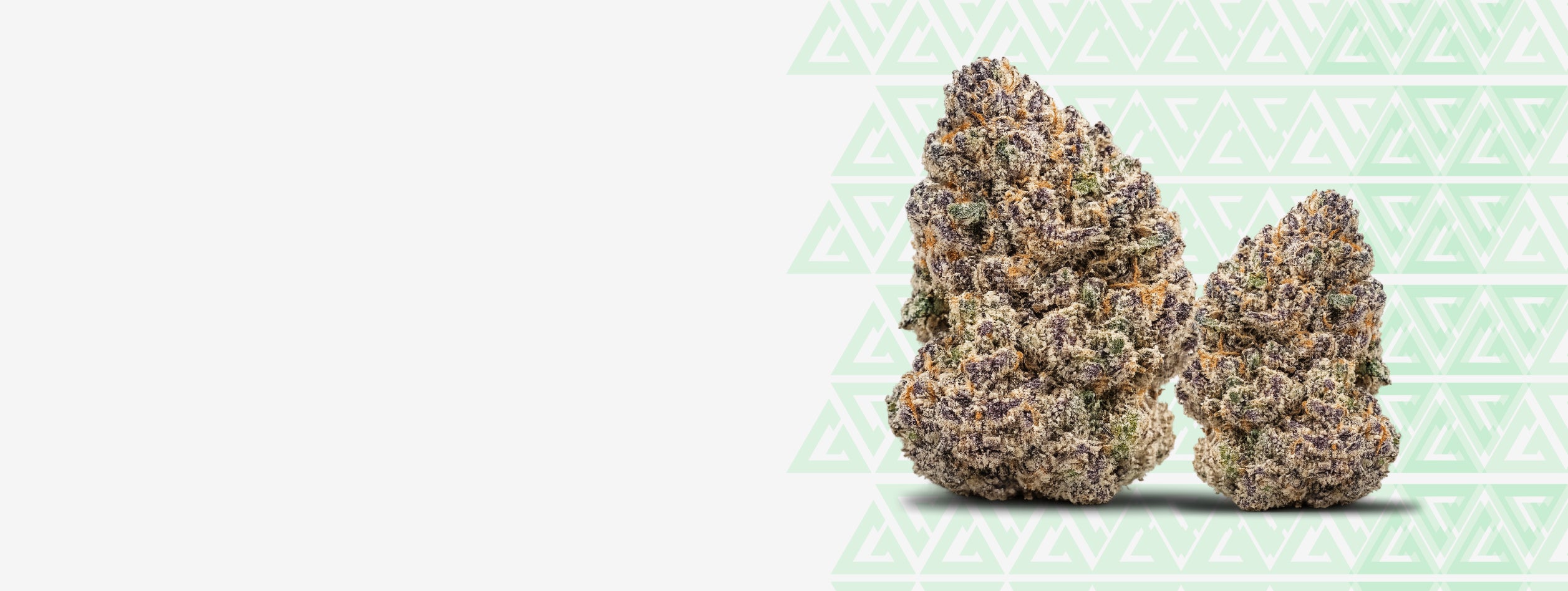 Find Your Perfect THCA Flower