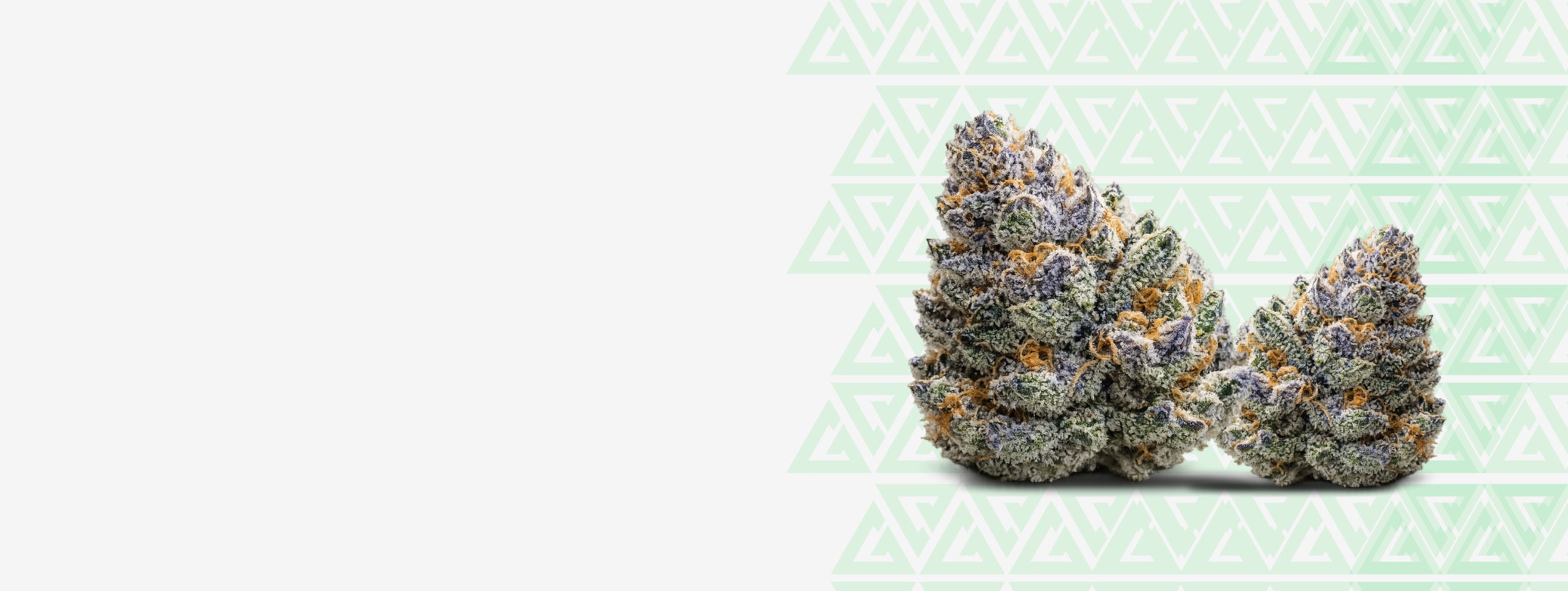 Ready to Shop Premium THCA Flower?