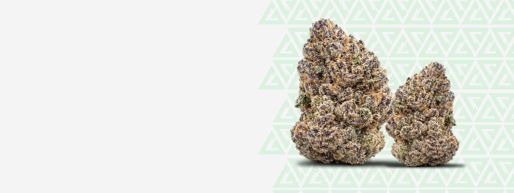 Find Your Perfect THCA Flower Online