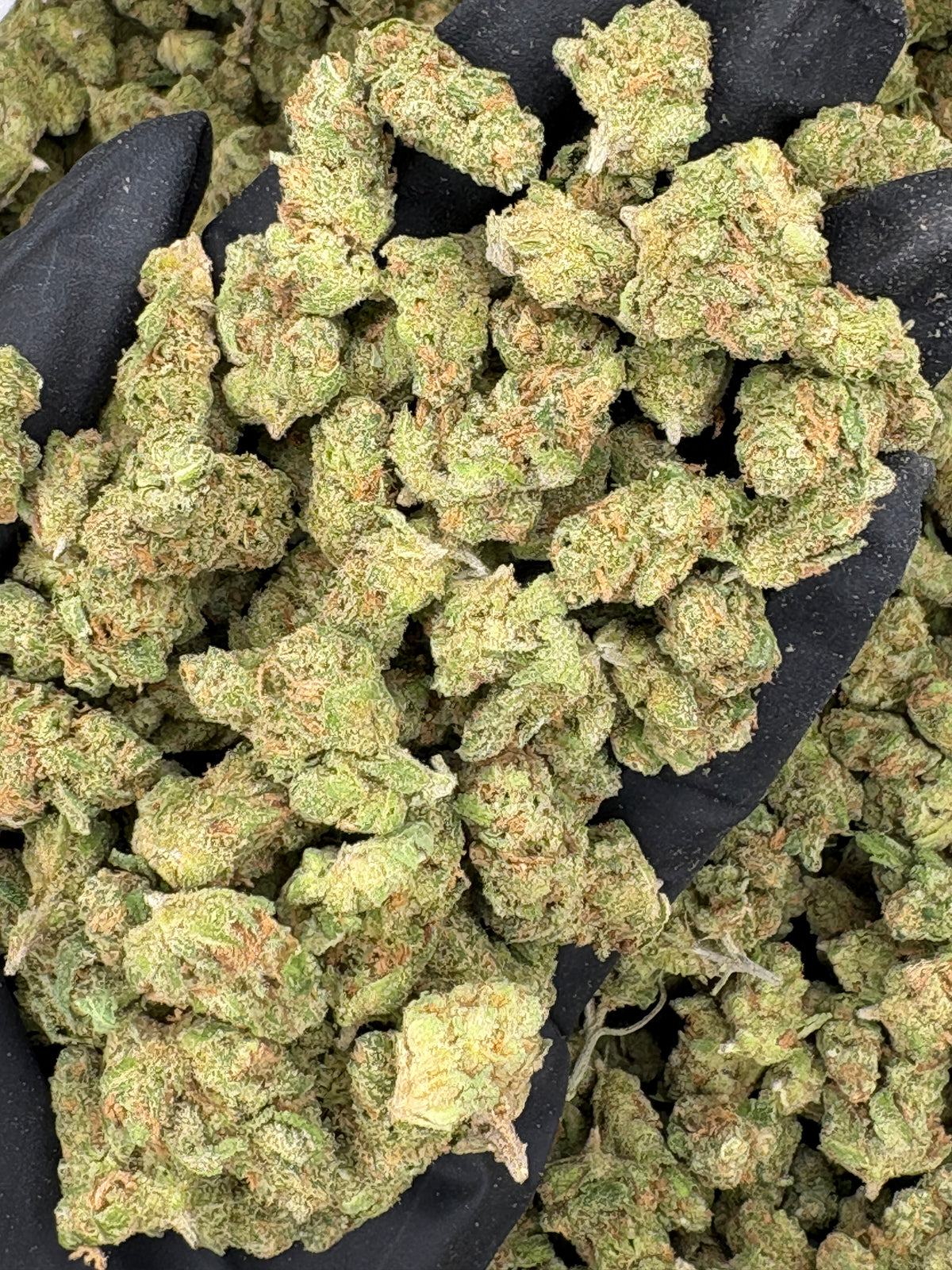 Blue Crack Smalls
