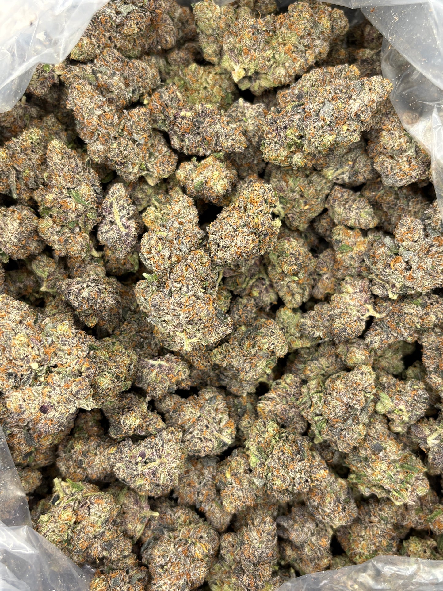 Crunch Berriez (Genetics by Fiya Farmer)