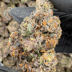Crunch Berriez (Genetics by Fiya Farmer)