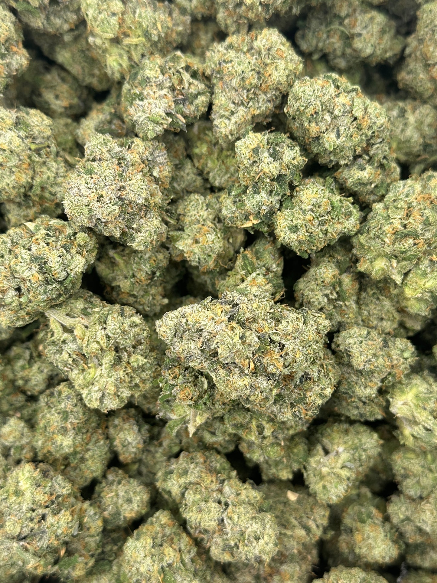 Frog Poison ( Genetics by Craft Farmer)