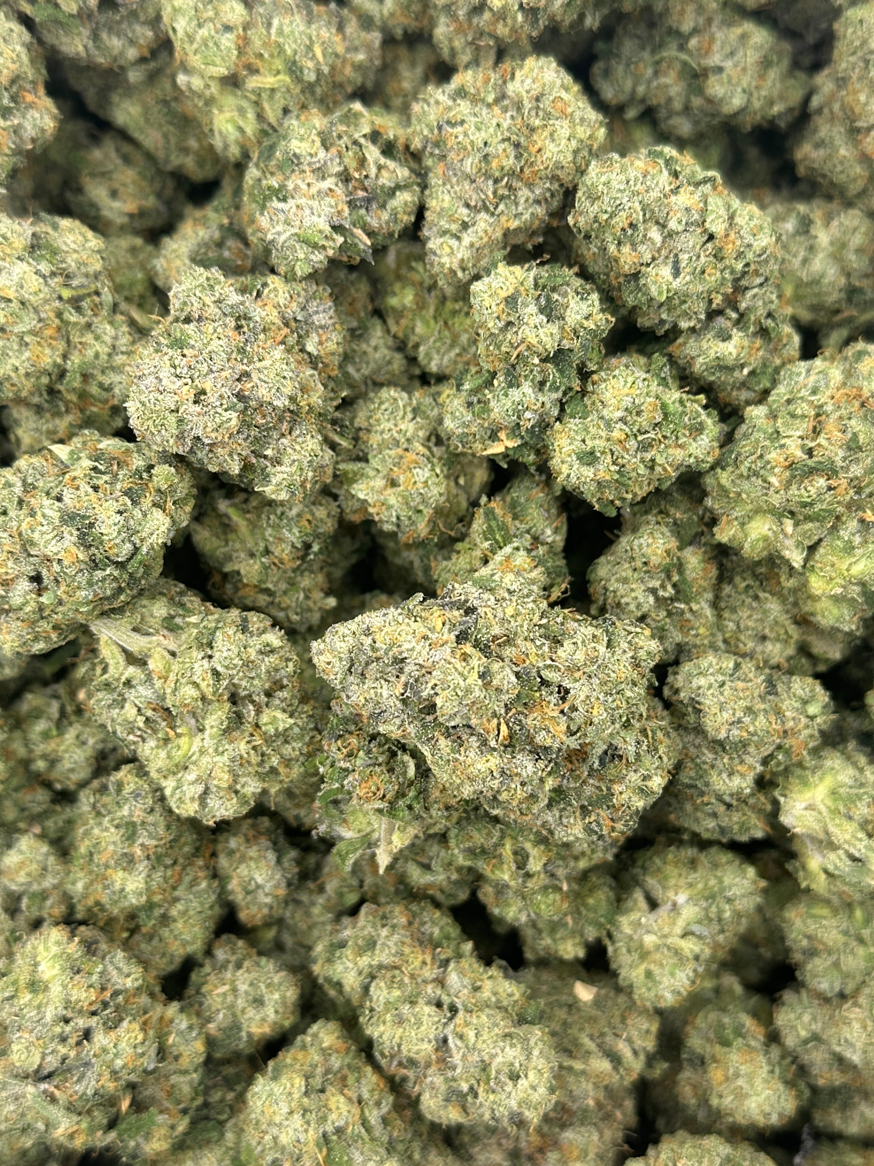 Frog Poison ( Genetics by Craft Farmer)