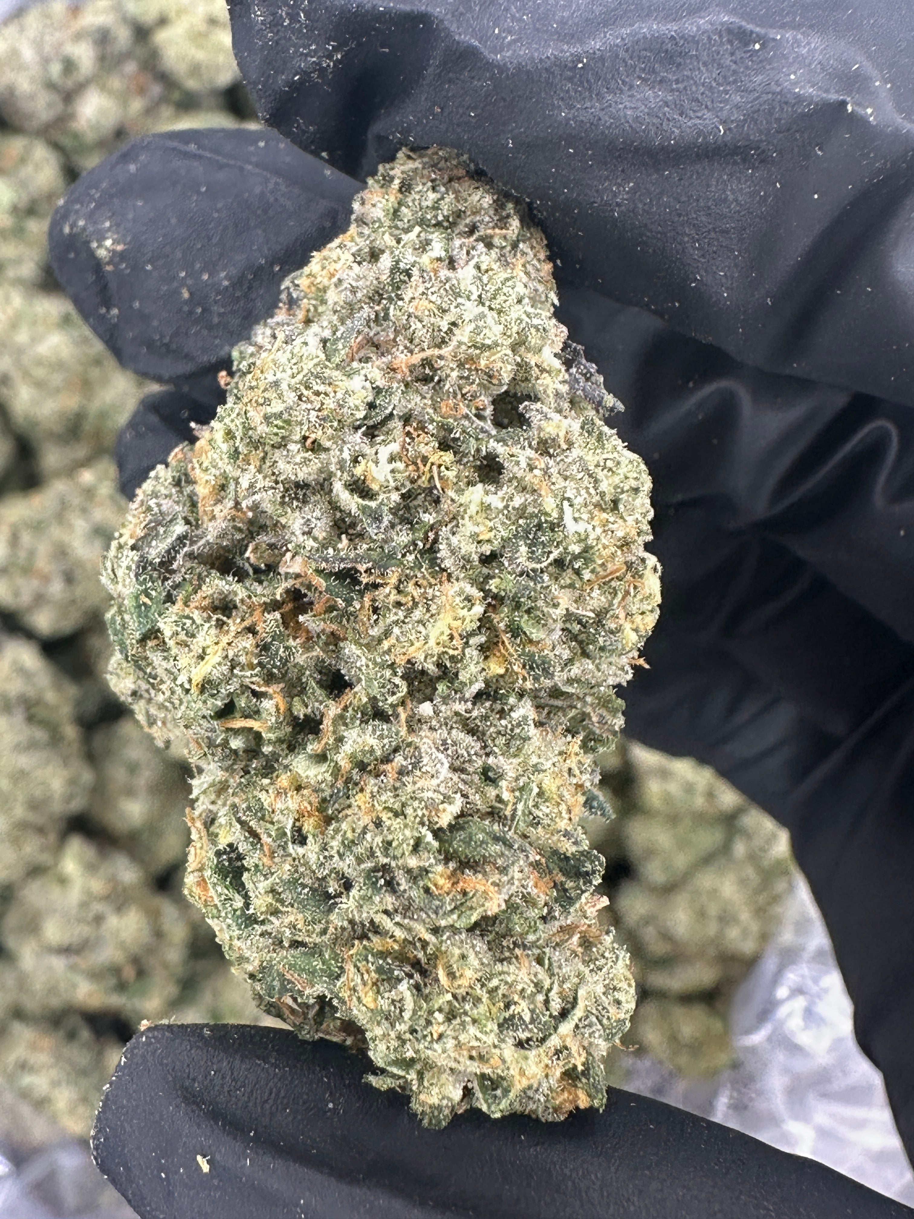 Frog Poison ( Genetics by Craft Farmer)