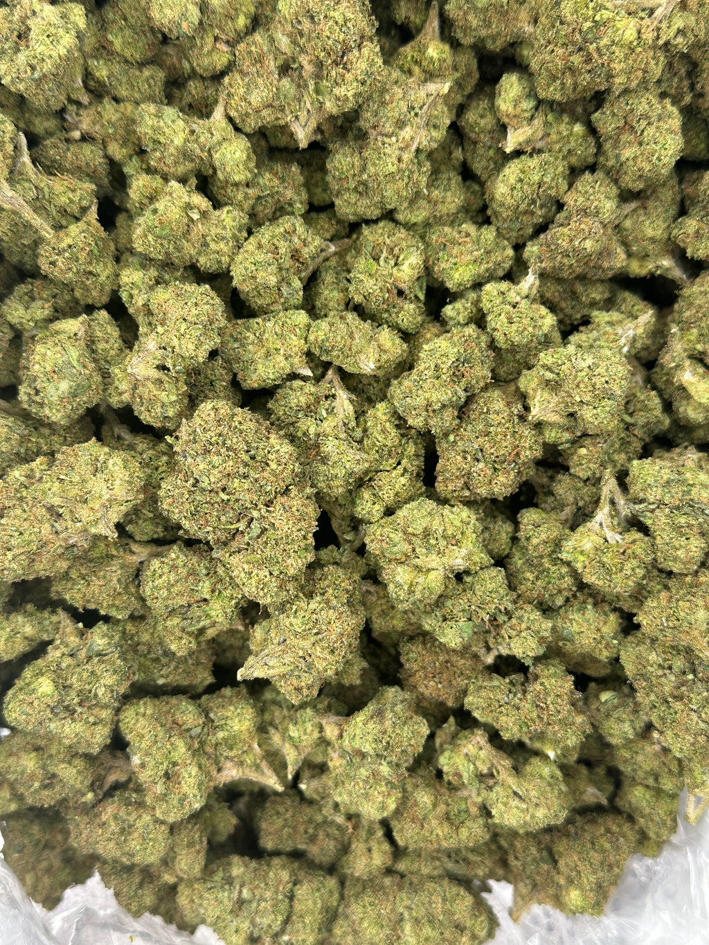 Gelato 33