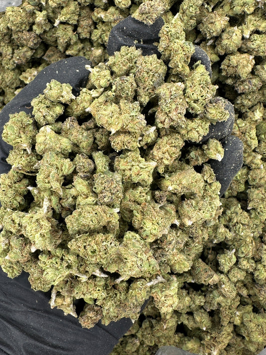 Gelato 41 Smalls