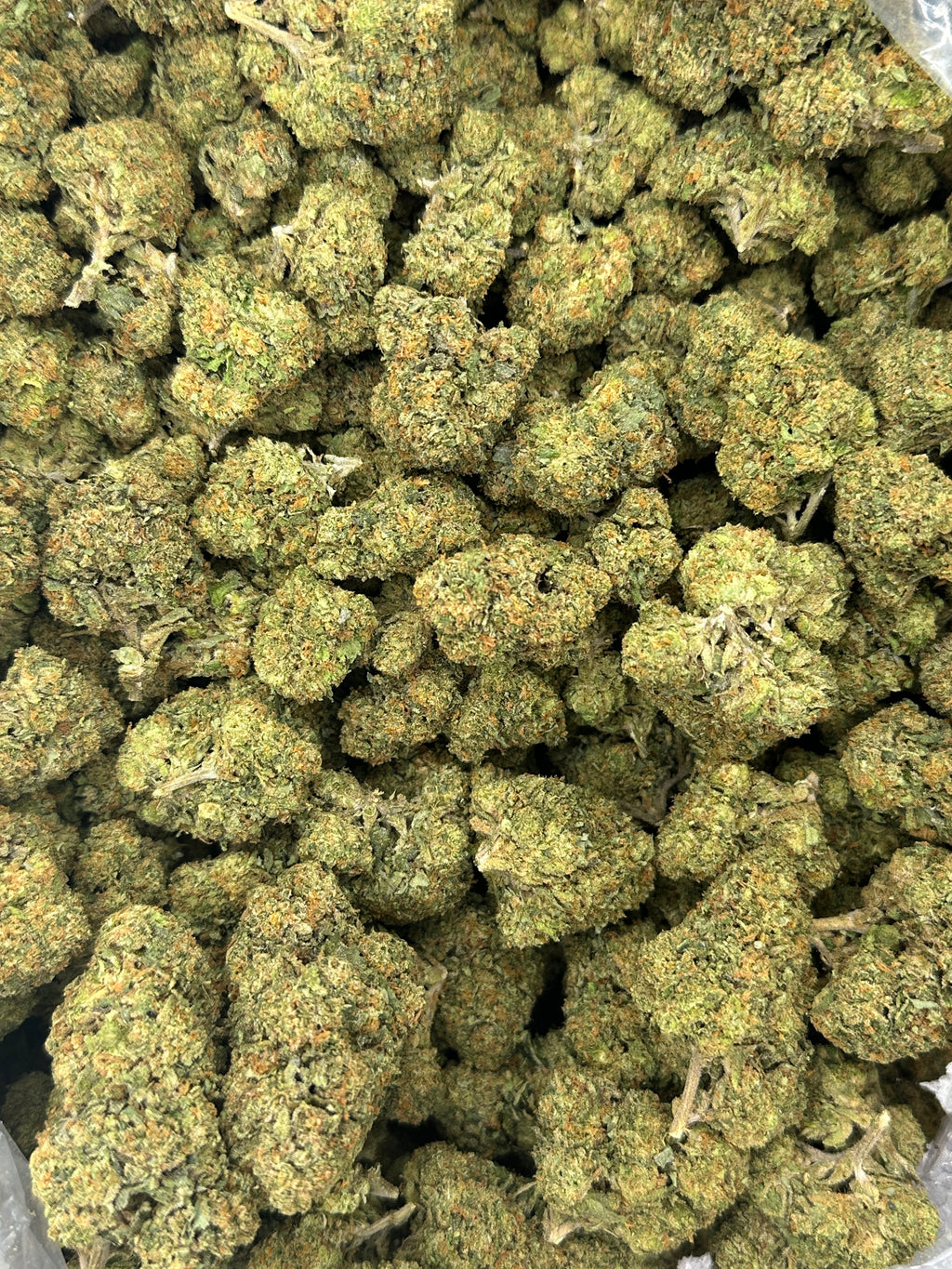 Gelato 41