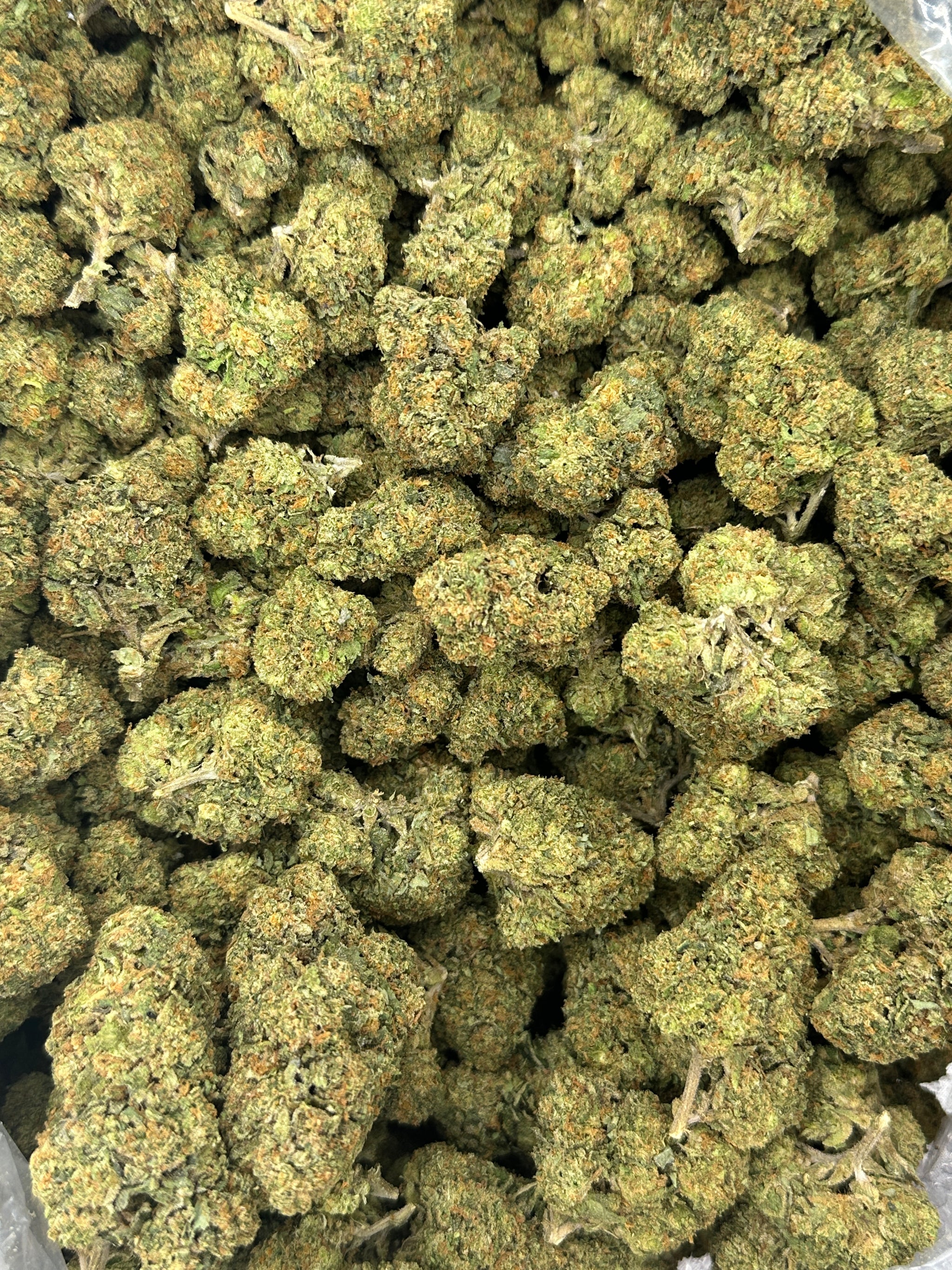 Gelato 41