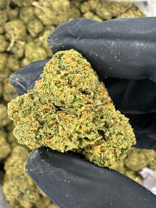Gelato 41