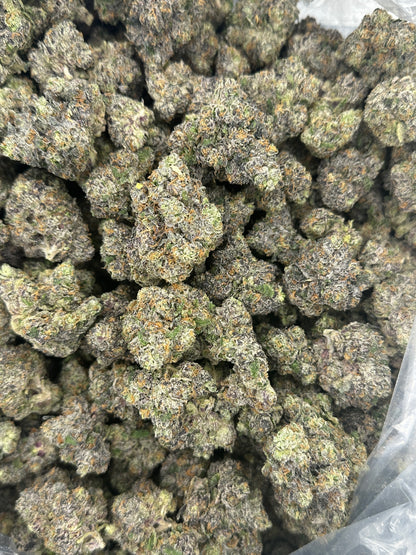 Ghost Mode. (Genetics by Craft Farmer)