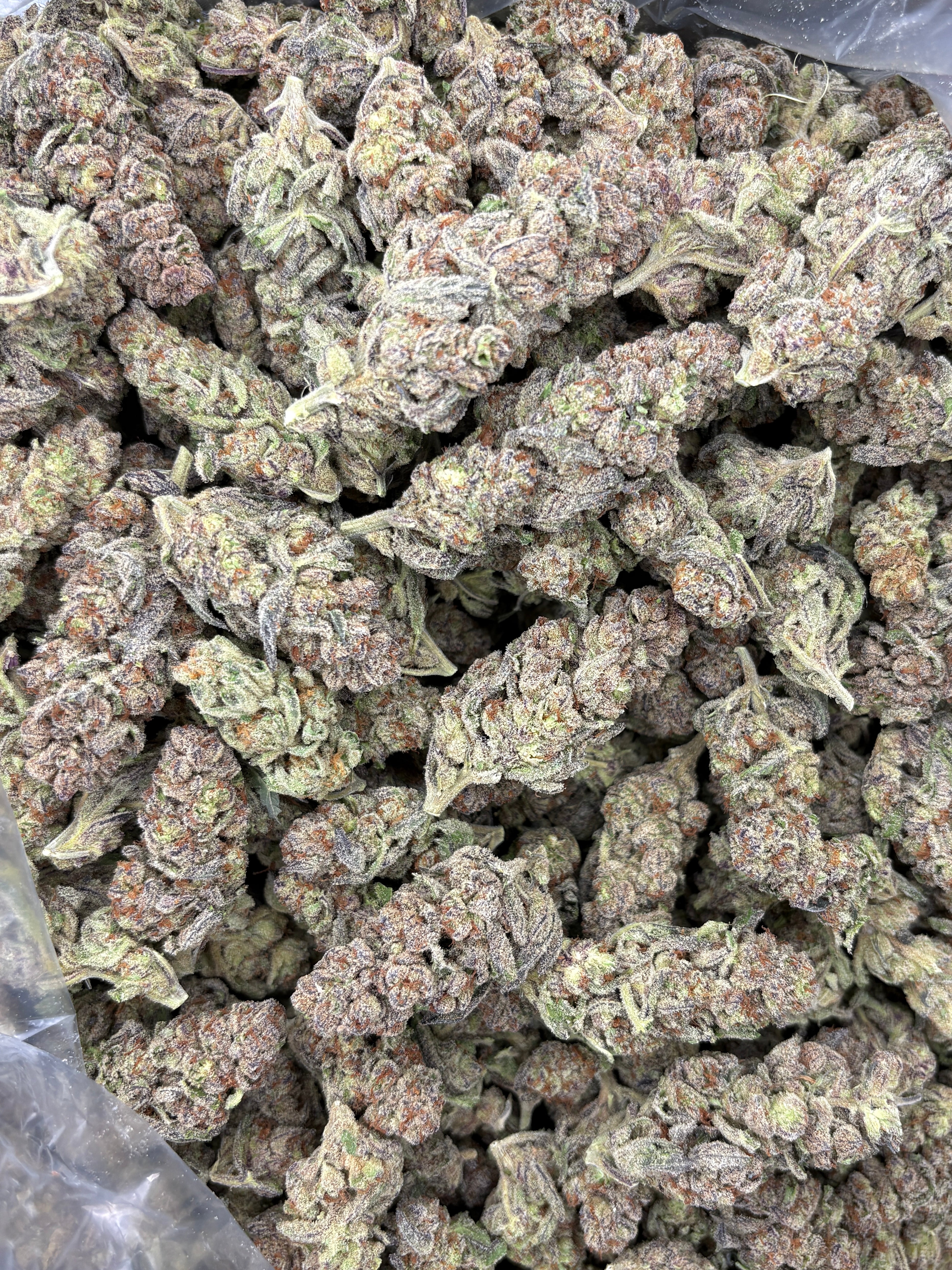 GlitterBomb