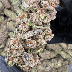 GlitterBomb