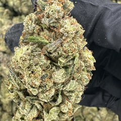 Grizzly Glue