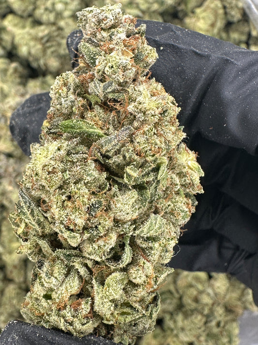 Grizzly Glue