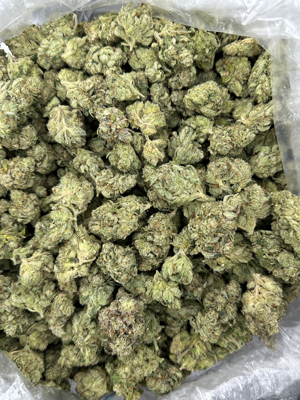 Grizzly Glue