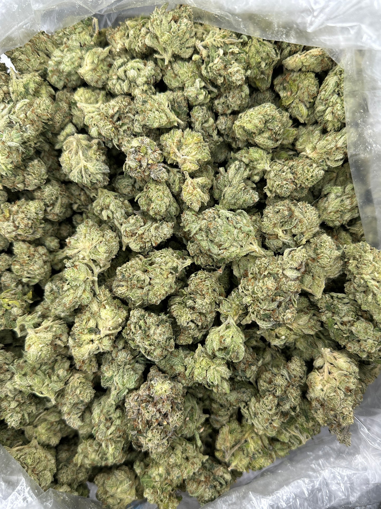 Grizzly Glue
