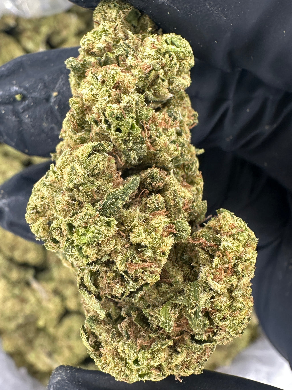 Hells OG