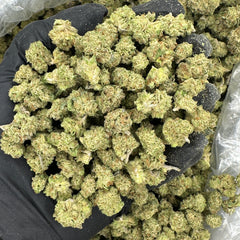 Jokers Candy Smalls