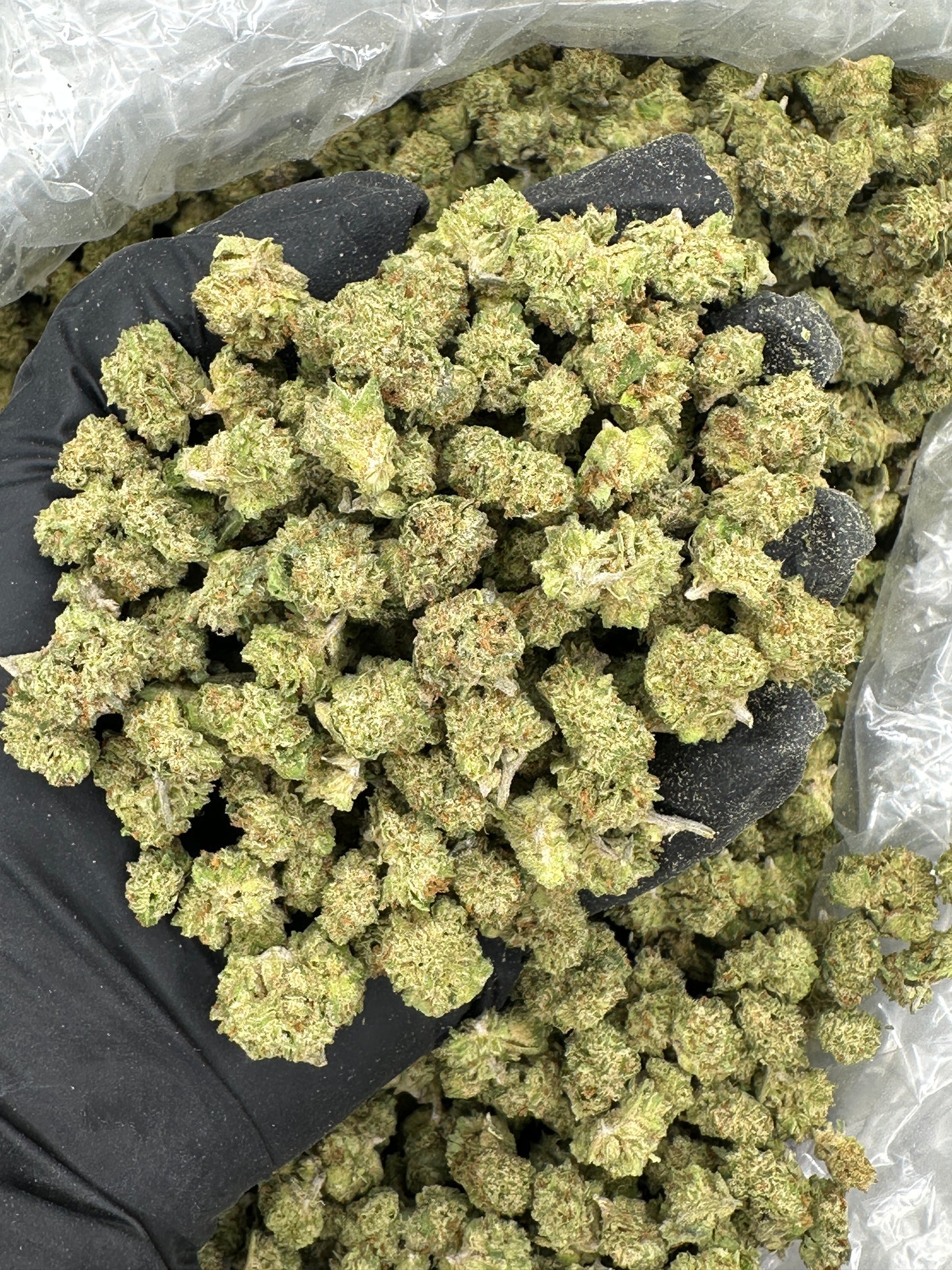 Jokers Candy Smalls
