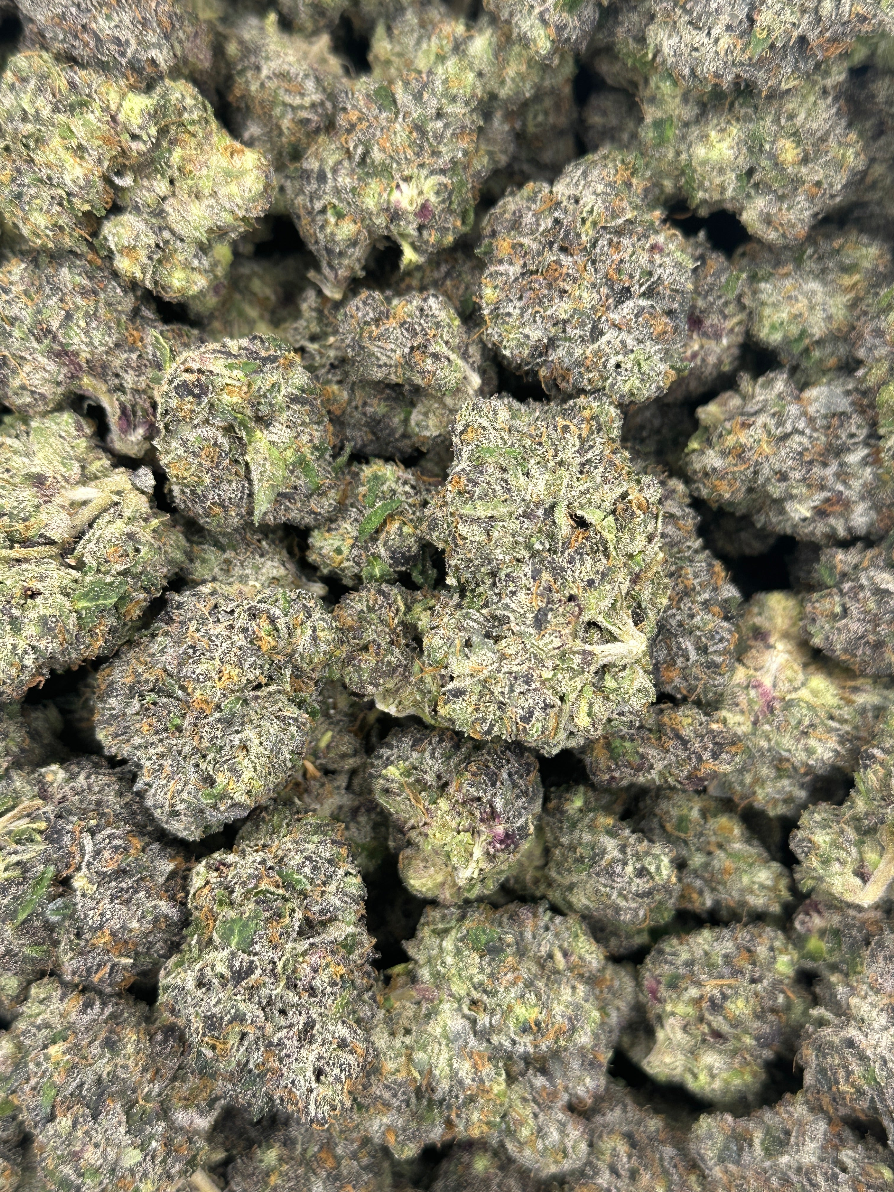 MOB (Genetics by Craft Farmer)