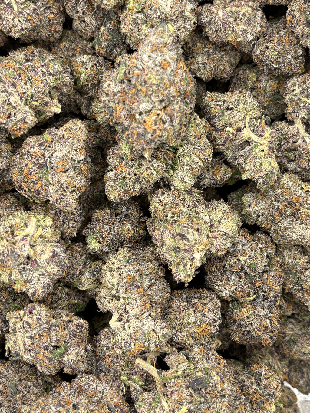 MOB (Genetics by Craft Farmer)