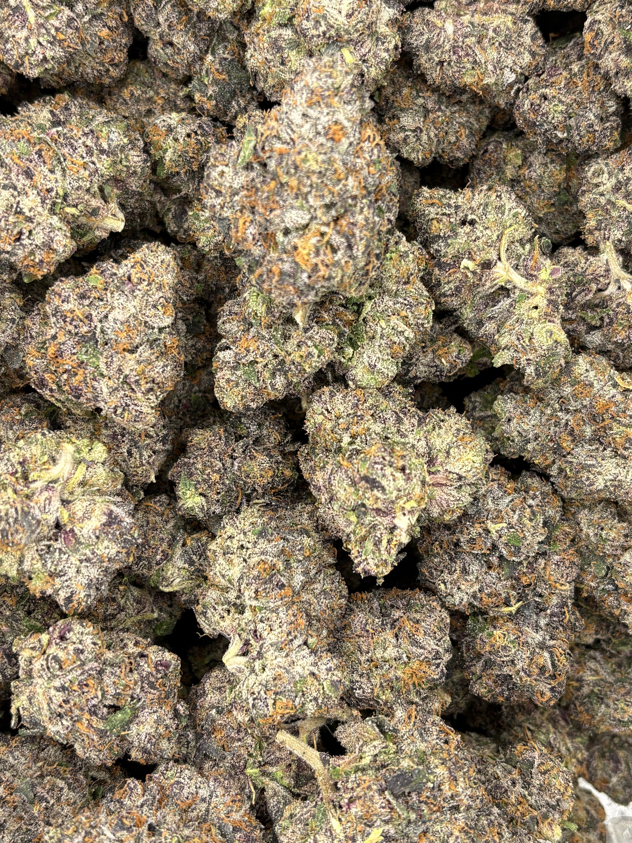 MOB (Genetics by Craft Farmer)