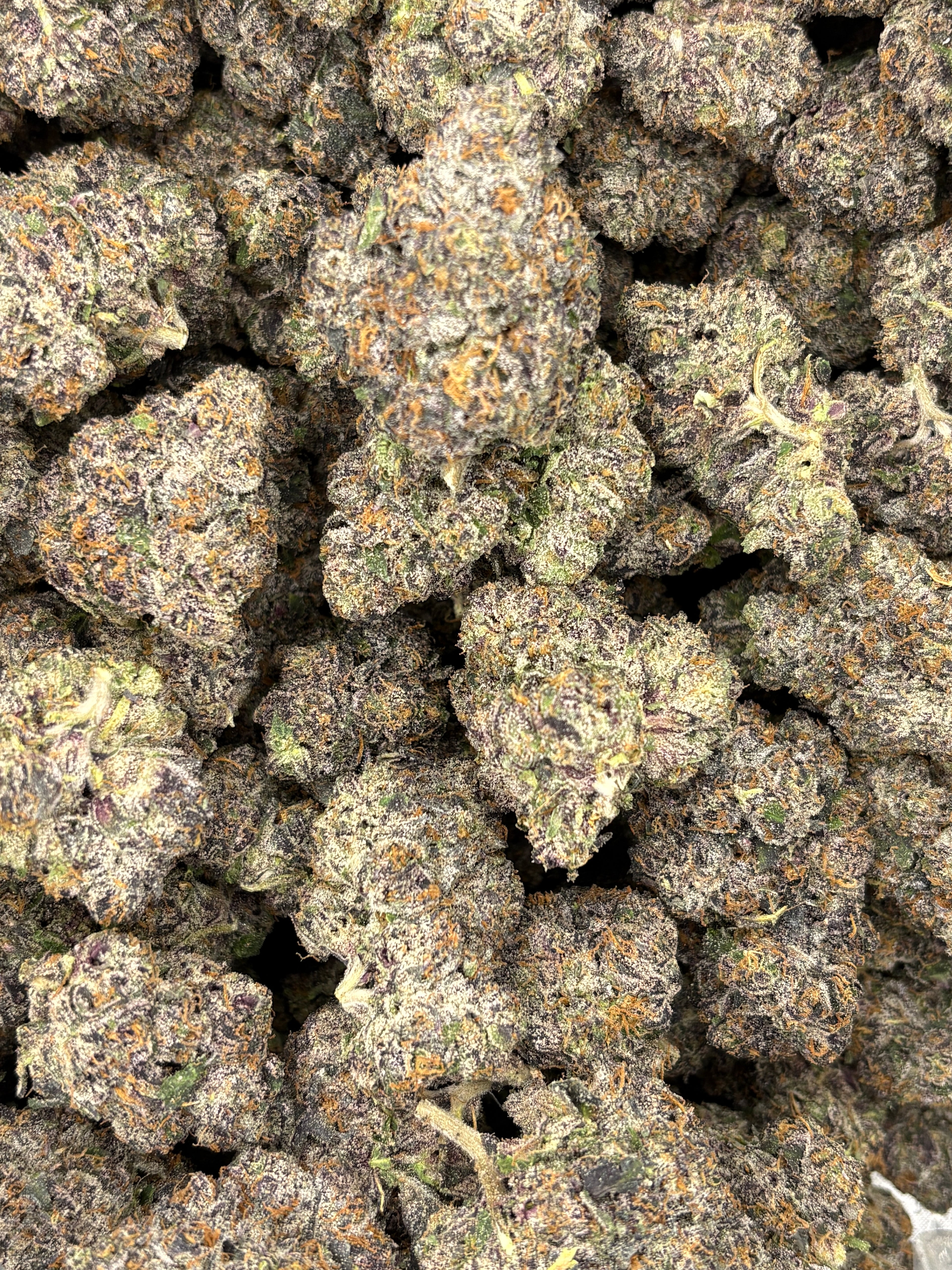 MOB (Genetics by Craft Farmer)