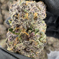 MOB (Genetics by Craft Farmer)