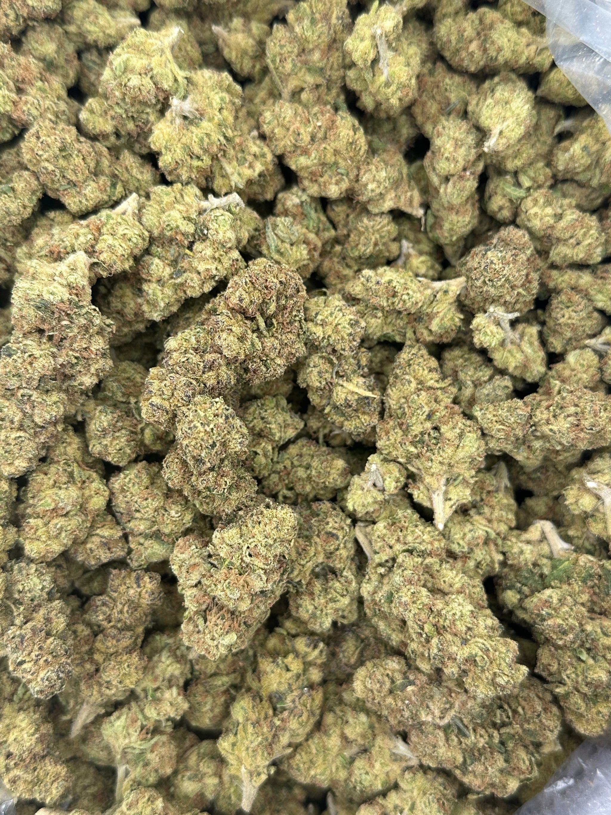 Mule Fuel