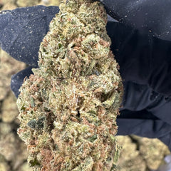 Mule Fuel