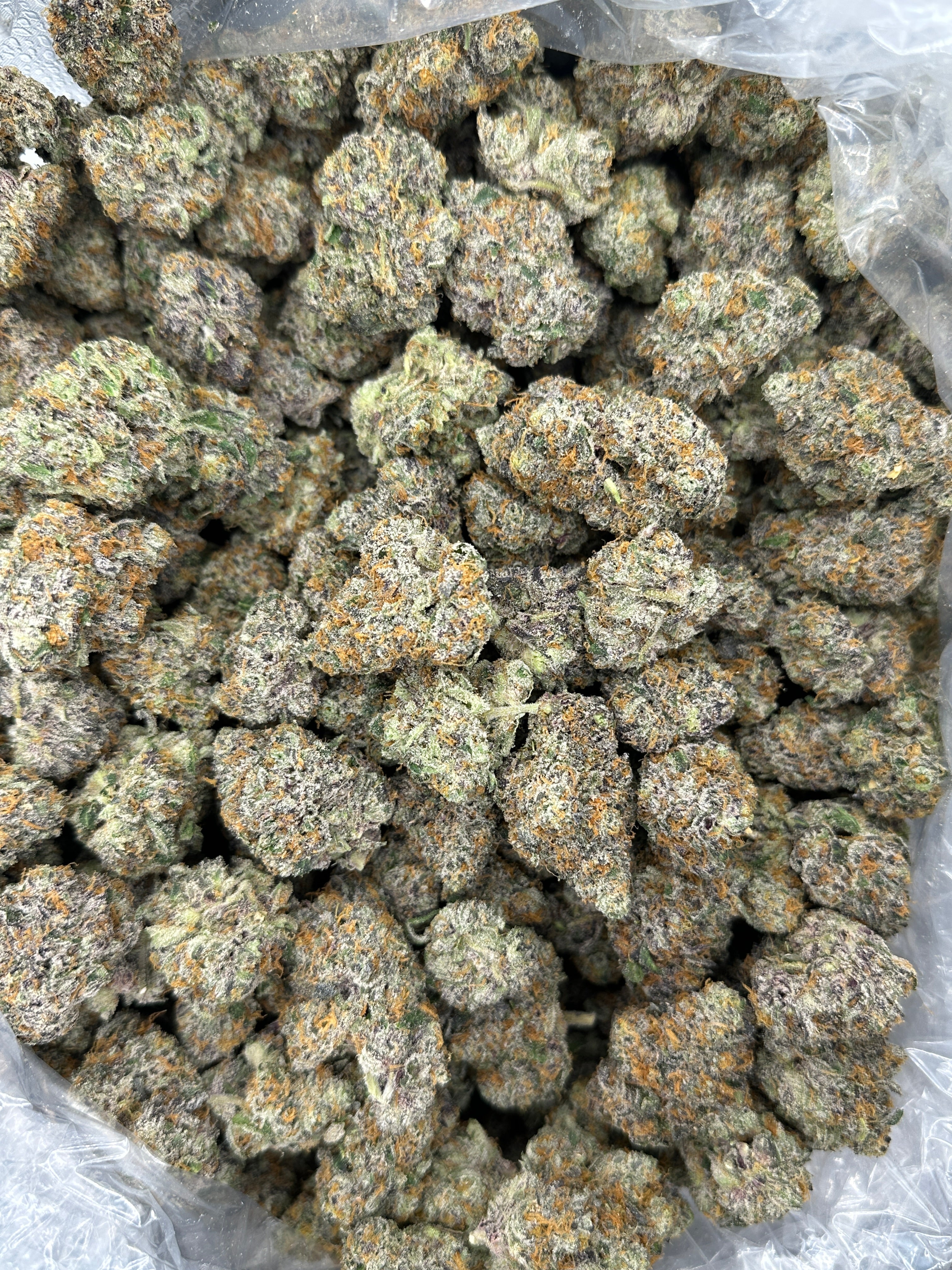 Nuclear Slurpee  (Genetics by Craft Farmer)
