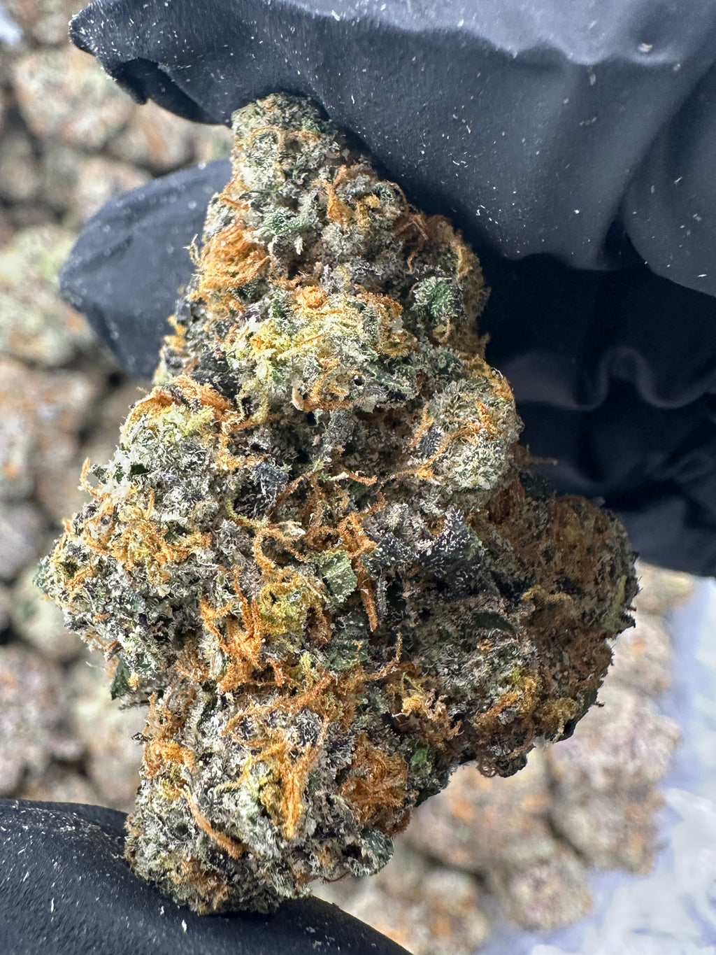 Nuclear Slurpee  (Genetics by Craft Farmer)