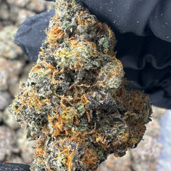 Nuclear Slurpee  (Genetics by Craft Farmer)