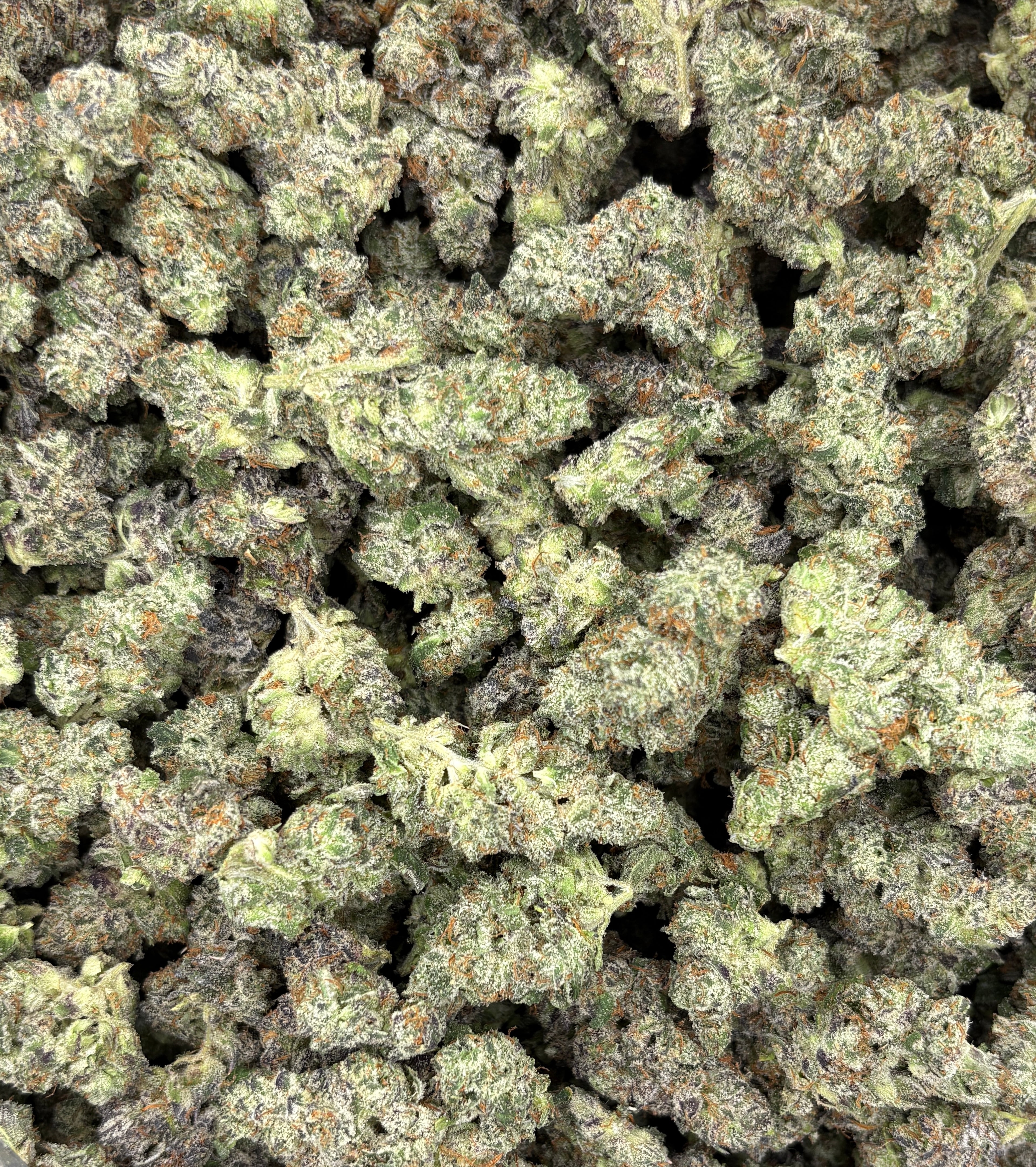 Oatmeal Cookies