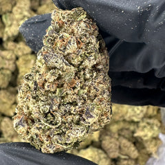 Pink Certz