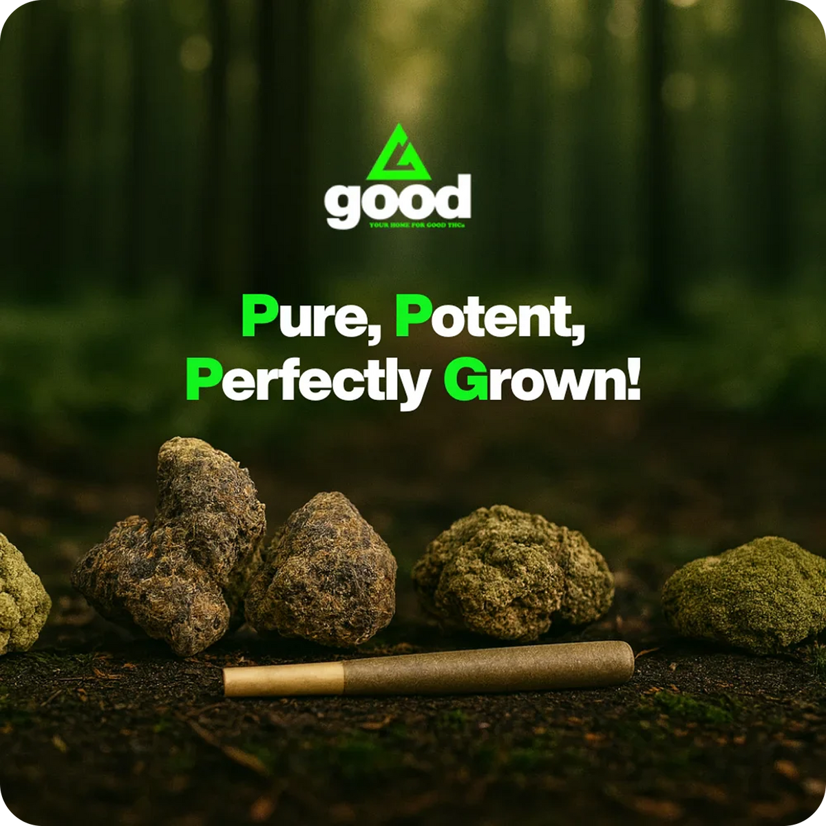 <p>WHY CHOOSE GOOD FARMS?</p>