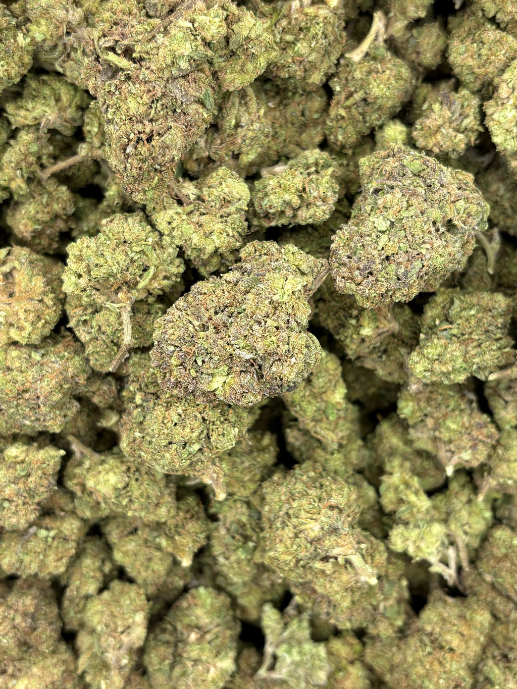 Sherbert