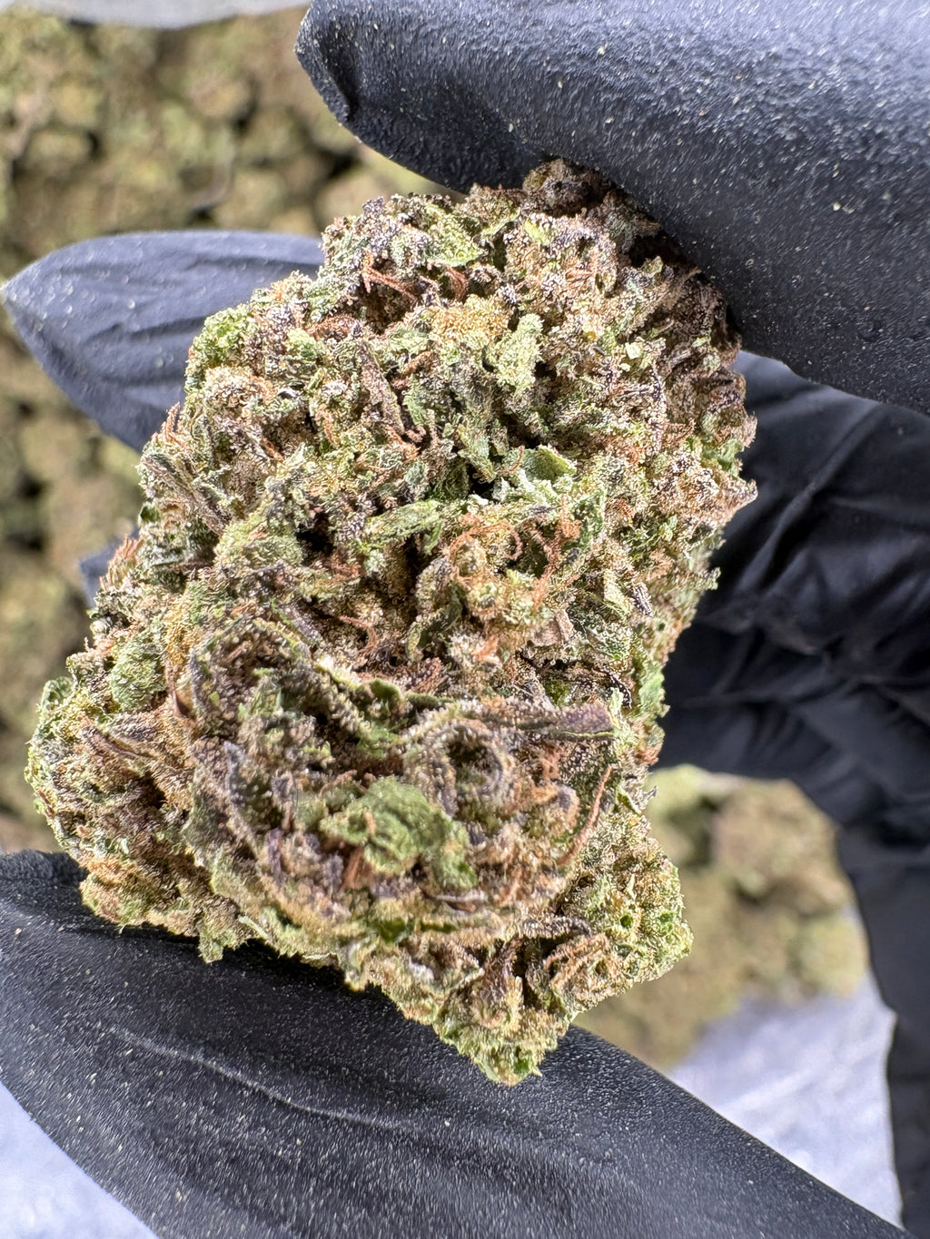 Sherbert