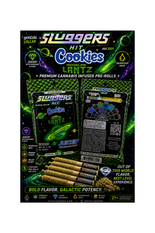 Sluggers HIT